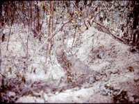 Connecting trenches.